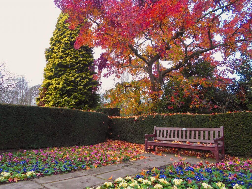 Leaves falling over a bench inside the formal gardens at Walton Hall and Gardens