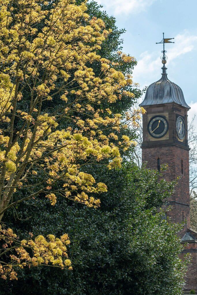 Walton Hall and Gardens clock tower in spring