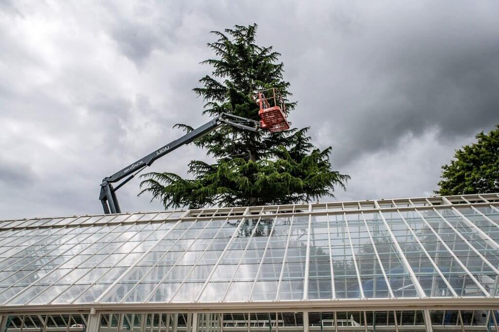 Man on a cherry picker. Picture captured by Andy Gilbert for the glasshouses restoration gallery