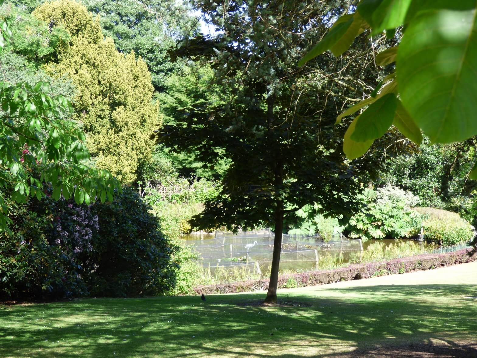 Walton Hall and Gardens in the sunshine