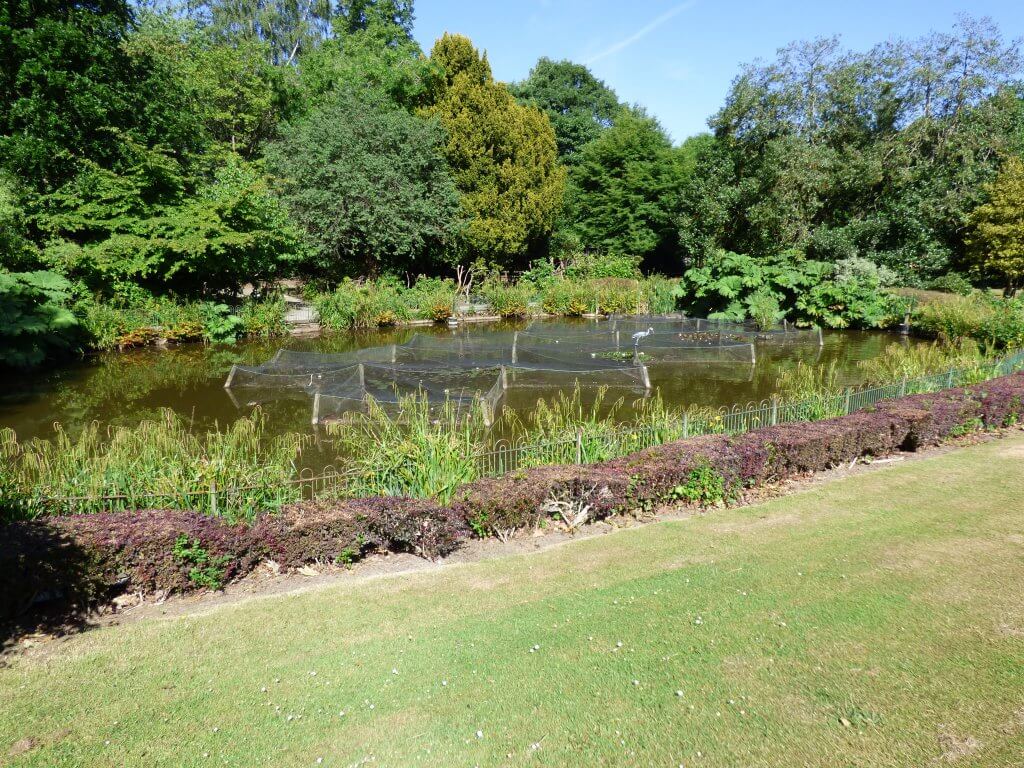 Walton Hall Formal Gardens looking lovely in the sunshine, a view of the pond