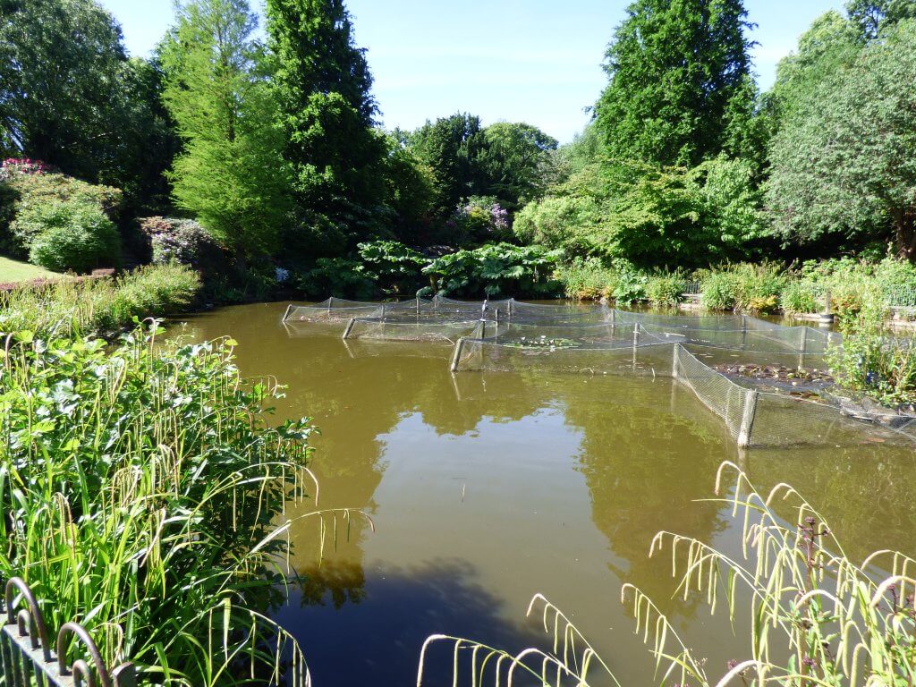 Walton Hall and Gardens Pond