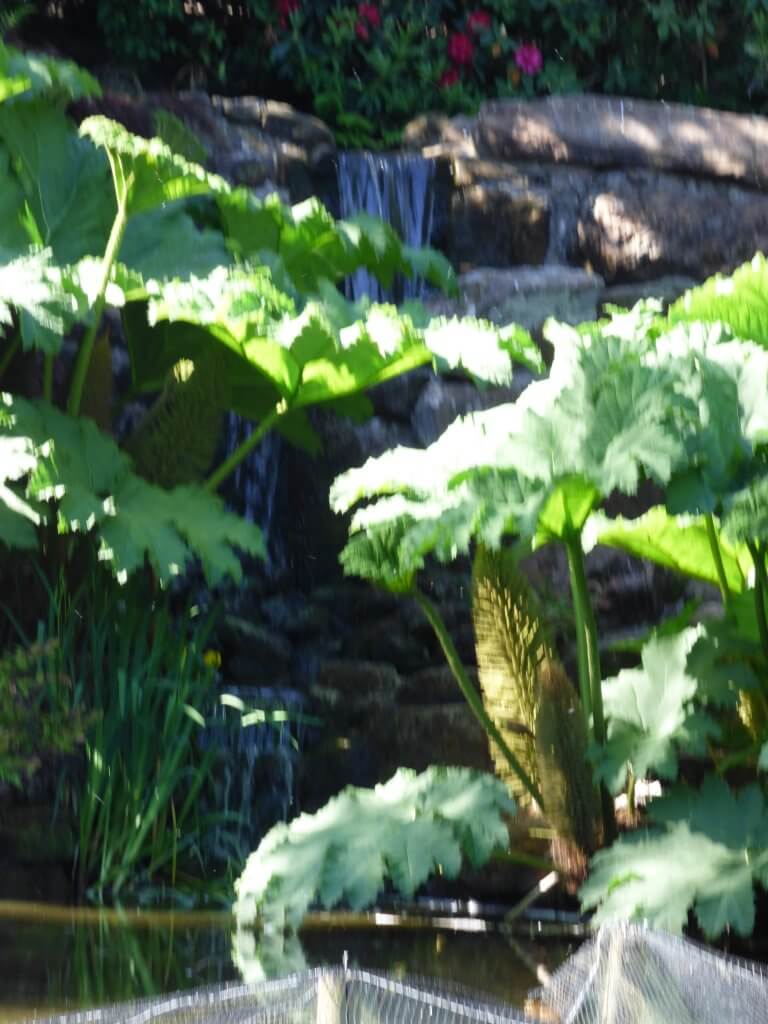 Walton Hall Formal Gardens looking lovely in the sunshine