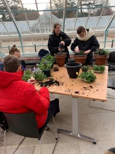 Myerscough students learning at the newly restored glasshouses