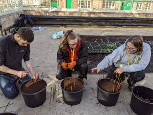 Myerscough student learning in the Glasshouses