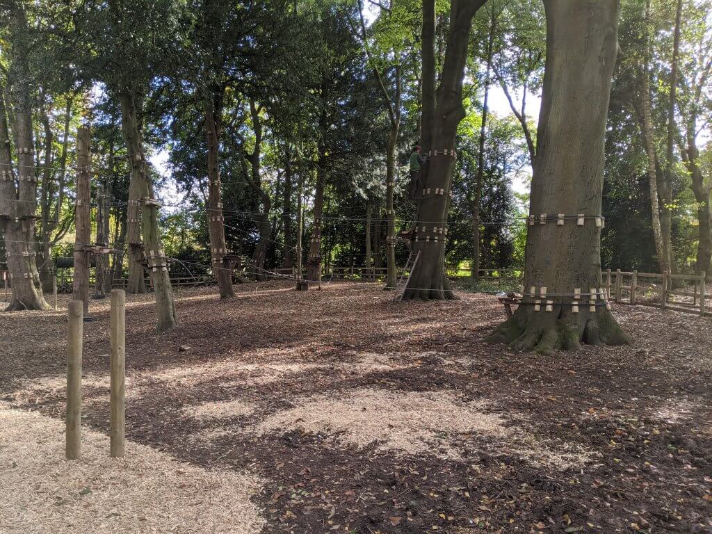 High ropes progress at Walton Hall and Gardens