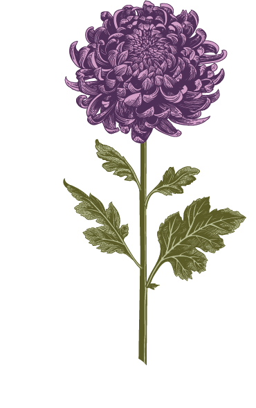 An illustrated flower