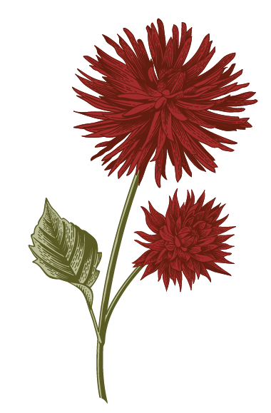 An illustrated flower